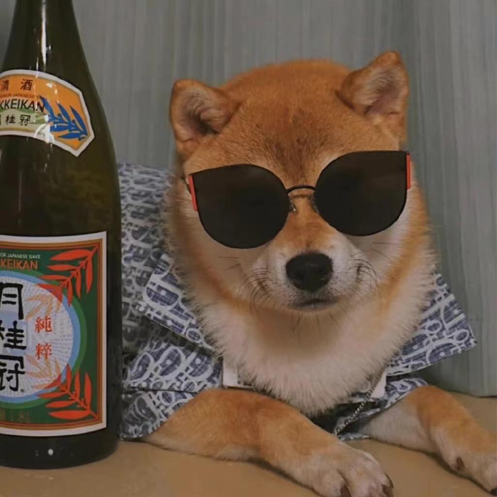 小璇的小迷弟