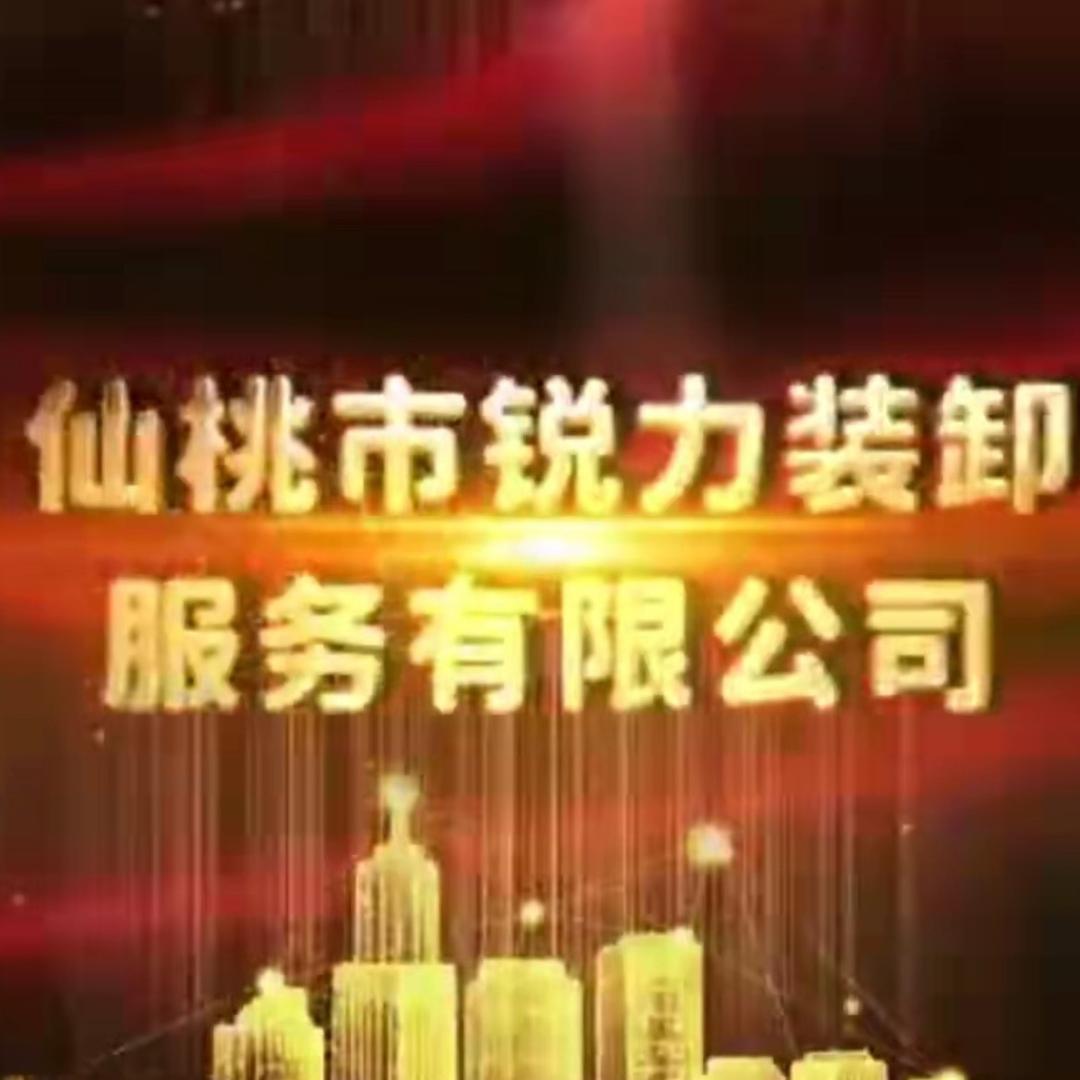 仙桃锐力吊装