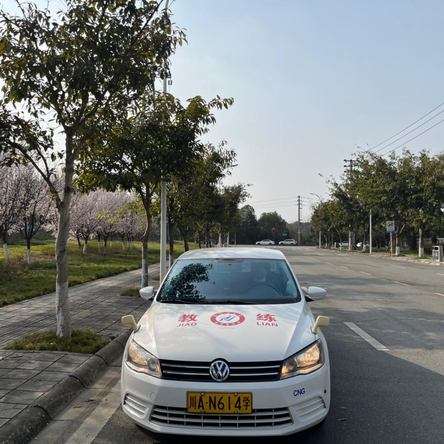 成都路正驾校刘师