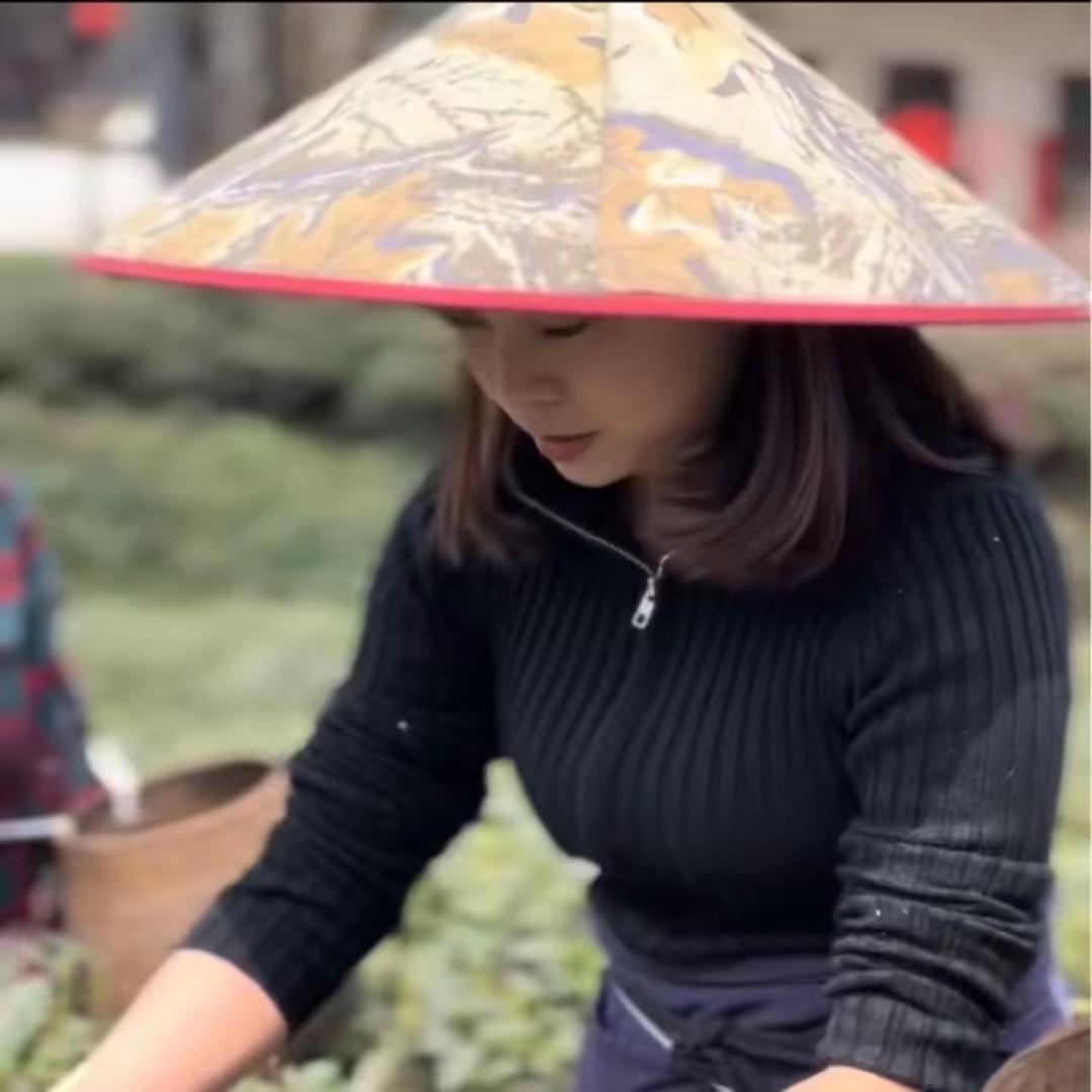 茶小雪