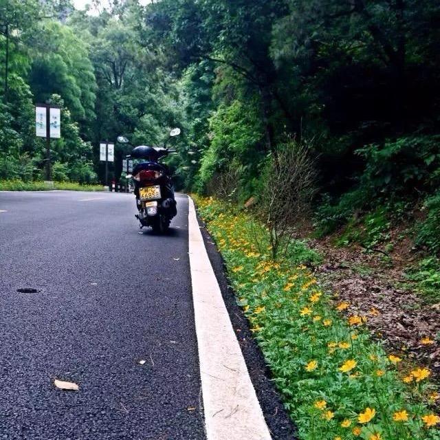 美团众包牛马（黄色⚡️闪电）