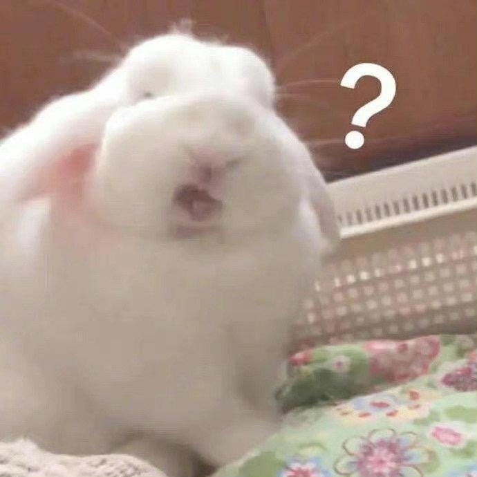 兔兔鸭
