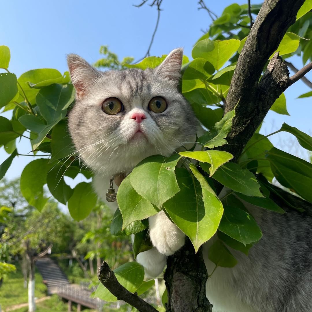 我没故事٥