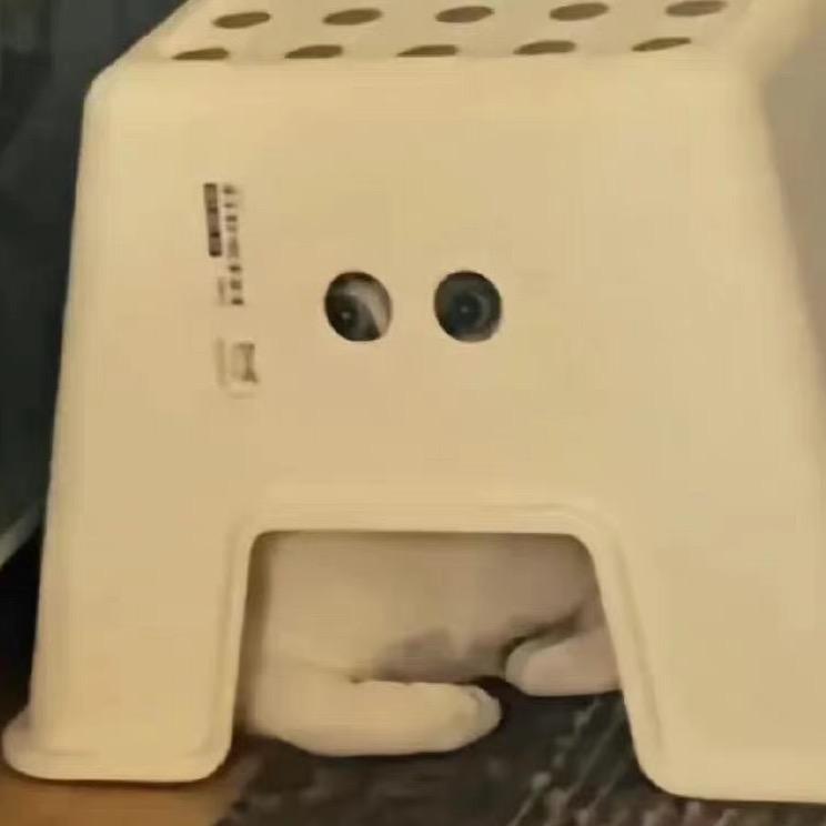 葡萄柚子小助理