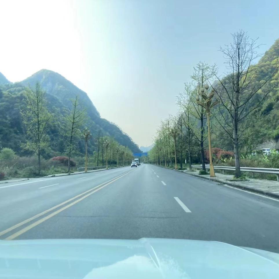 yangjie