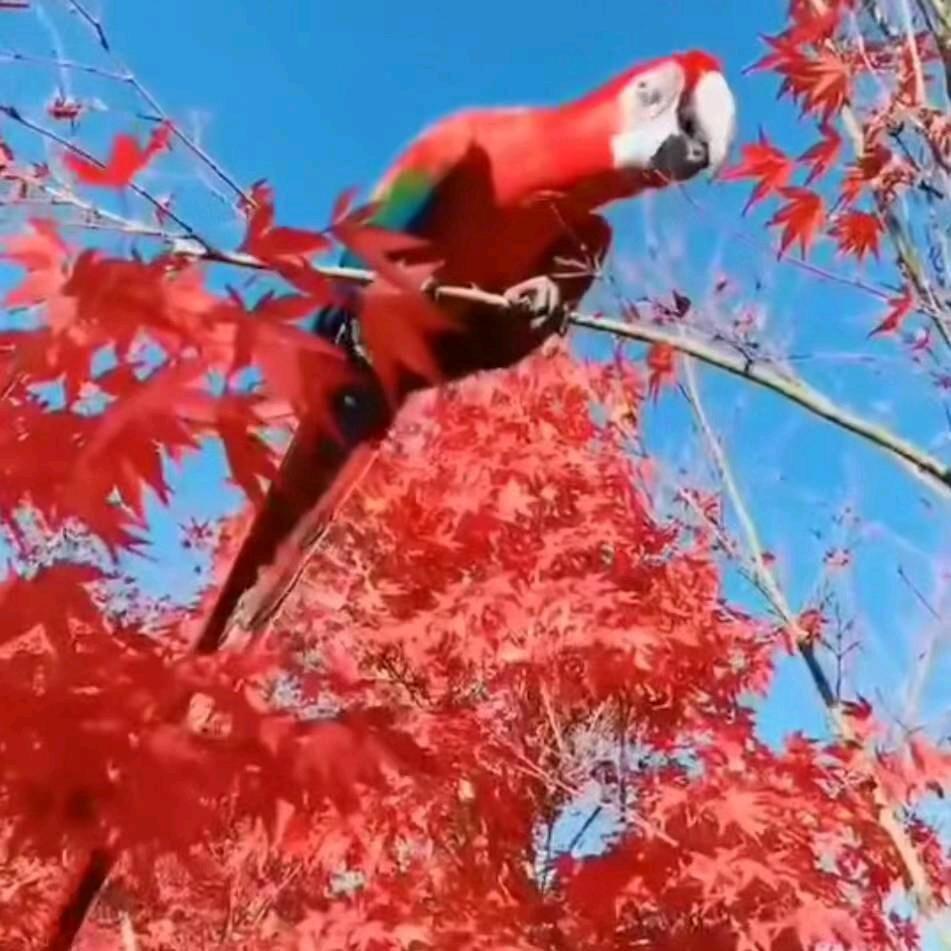 忘掉过去