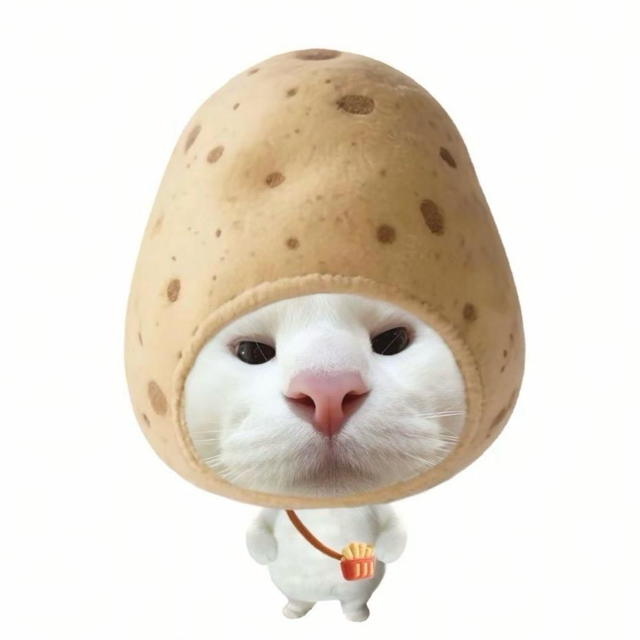 超棒的土豆🐾