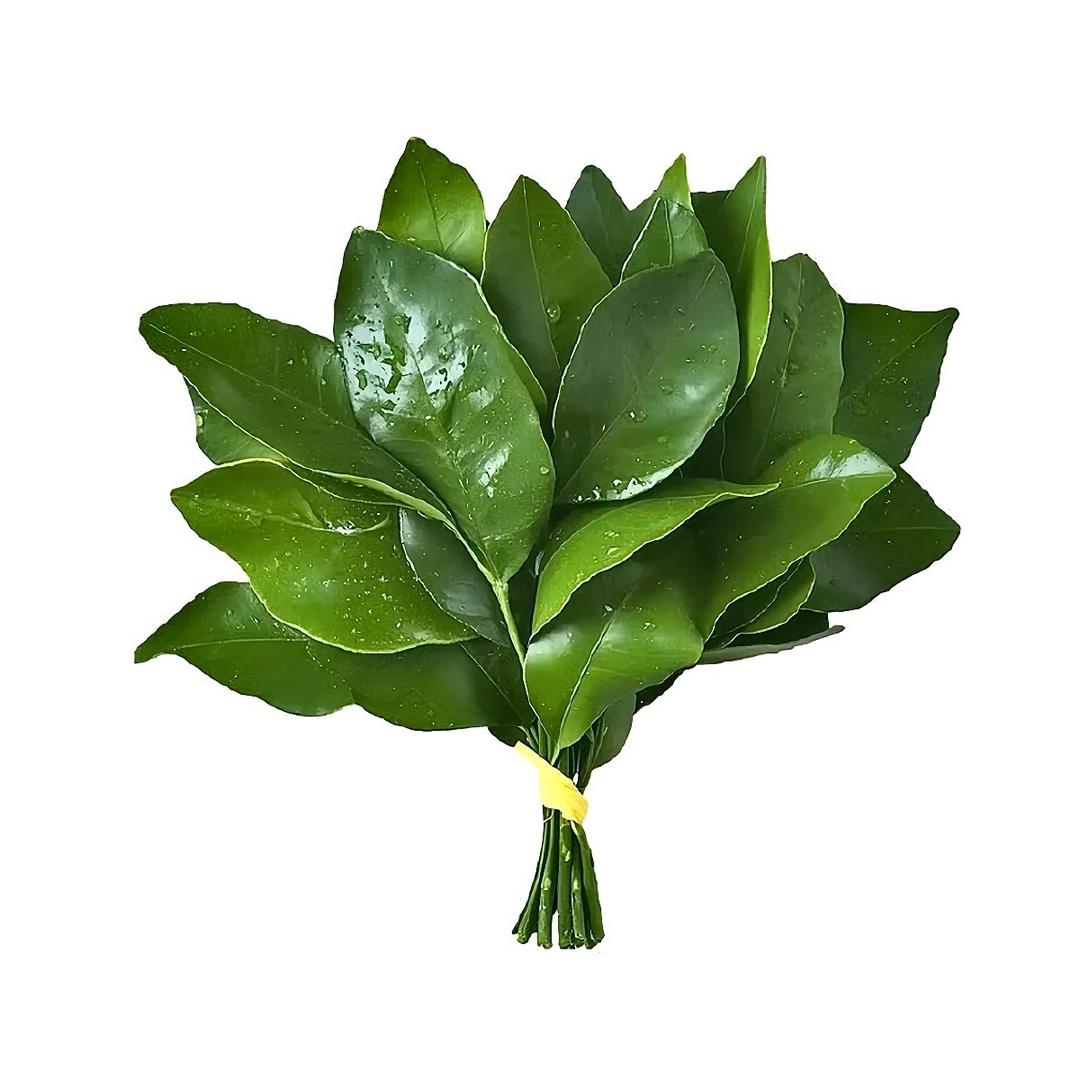 Liovo
