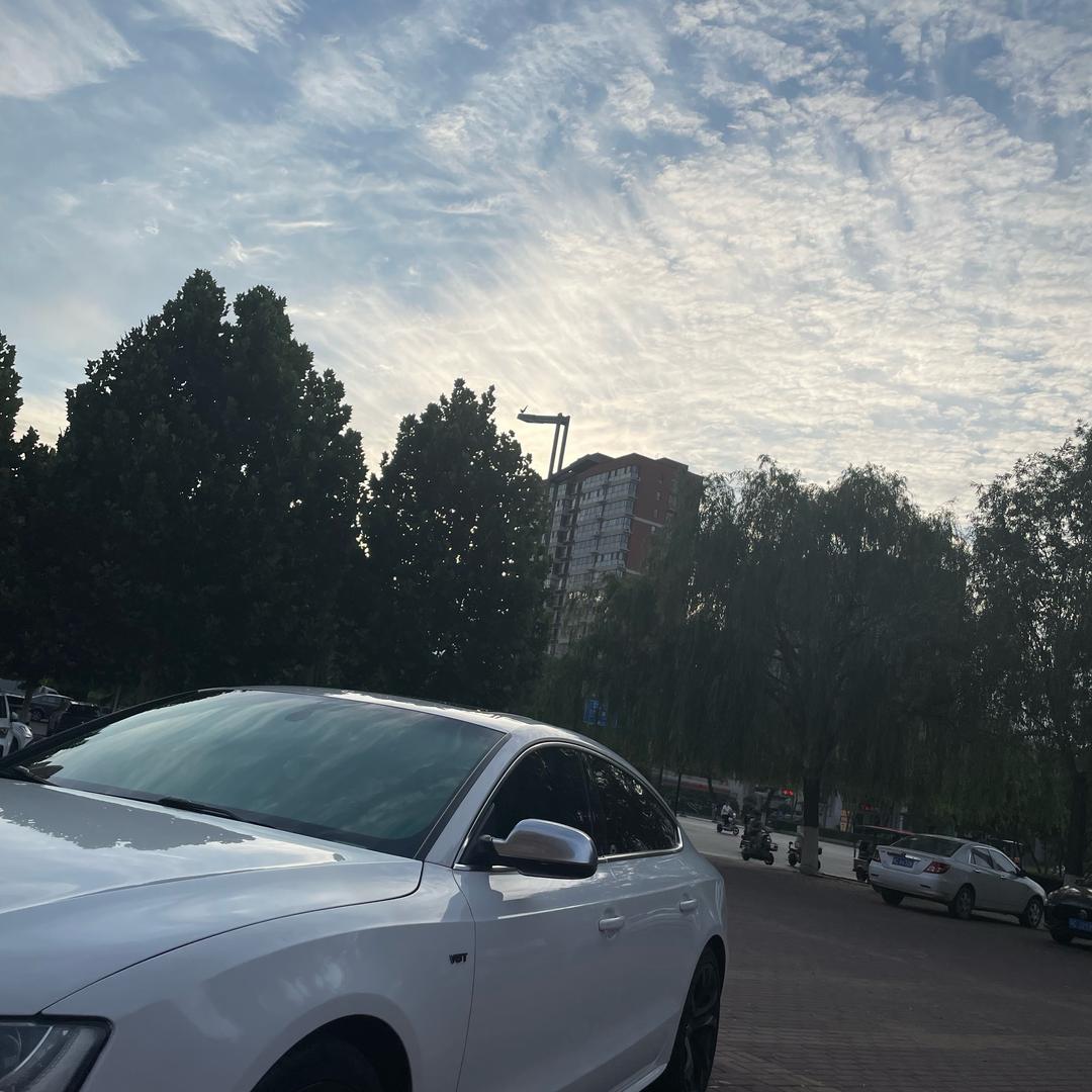 白色衬衫小男孩