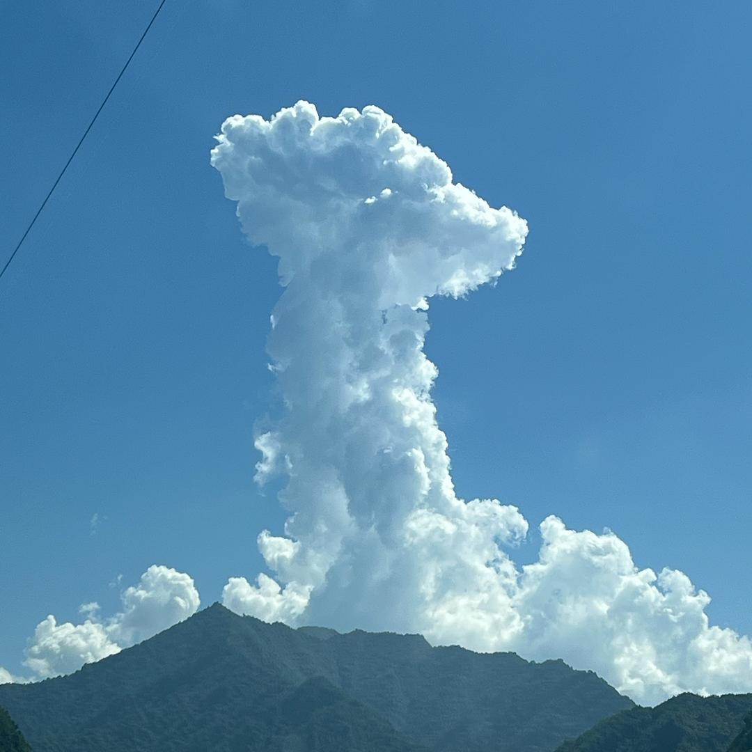 月园花好