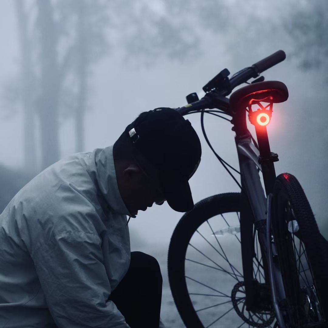 茶山寻茗记