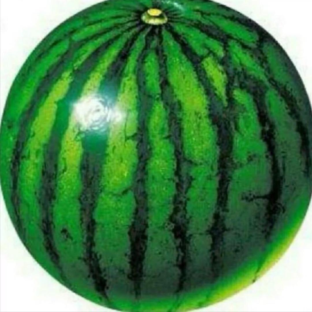 瓜瓜