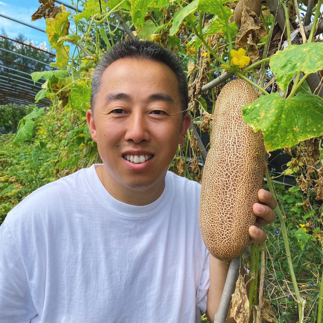 东北大明