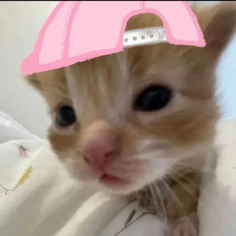 爱不吃辣