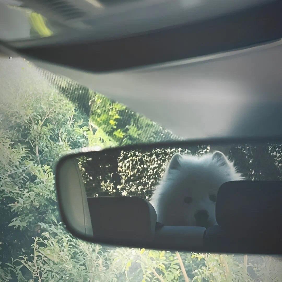 捌陆玖肆
