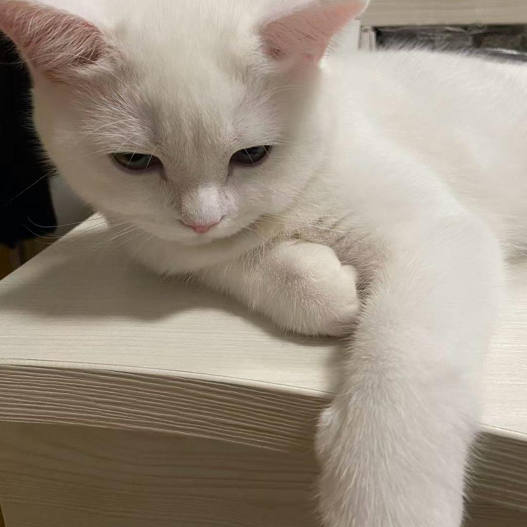 。。。