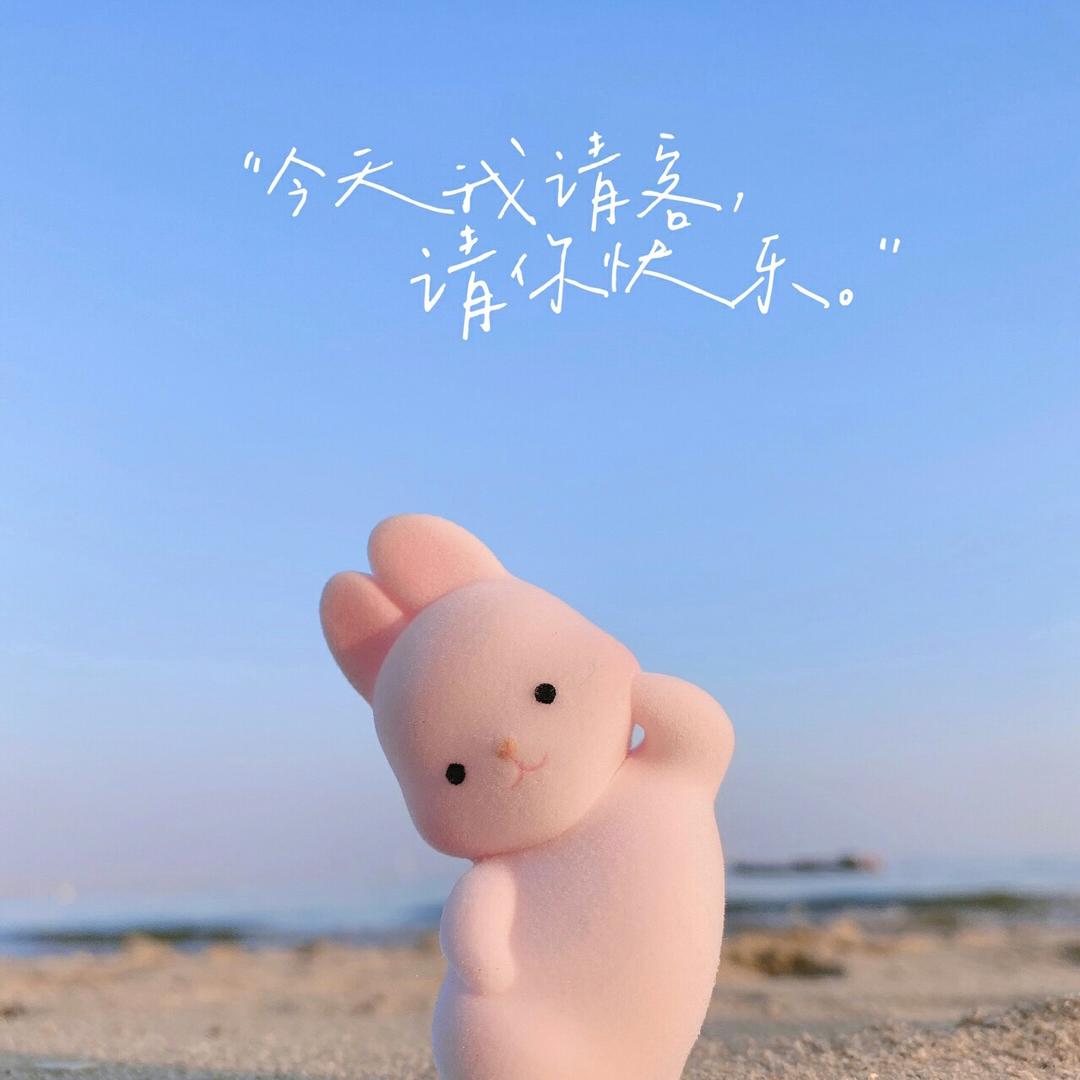 大丸子头