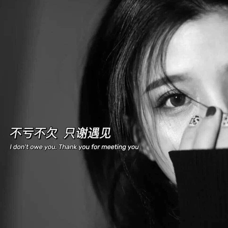 小杨小小羊🍃