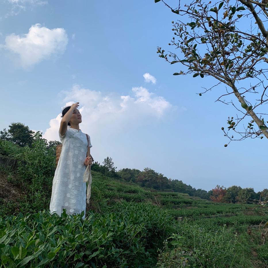 婷婷茶世家