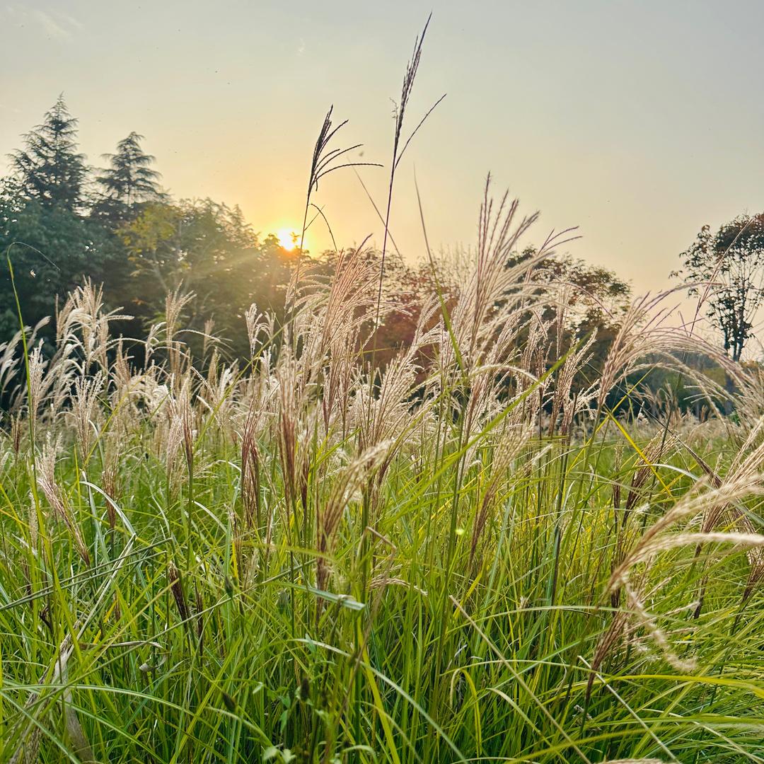 小可爱(๑• . •๑)