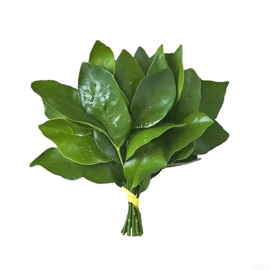 不不不吃饭