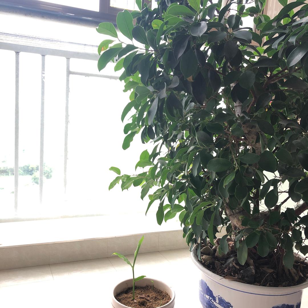 涅派服装店