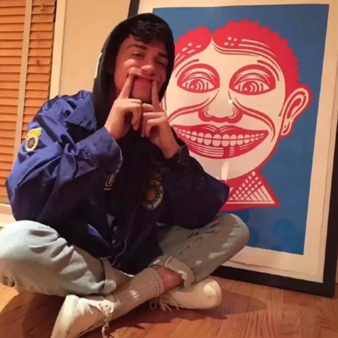 喳喳灰带飞