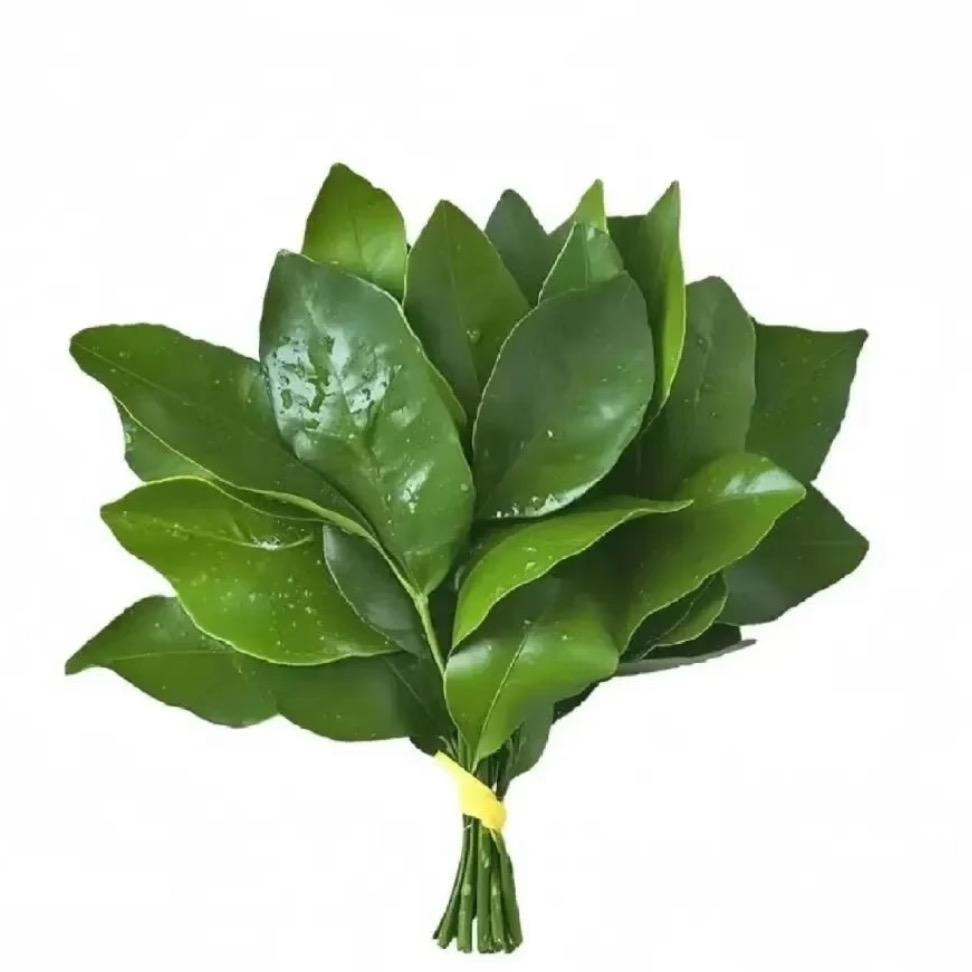 iukoi77