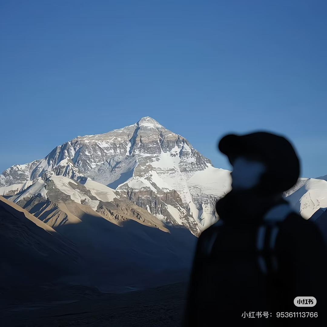 超级钢铁加鲁鲁