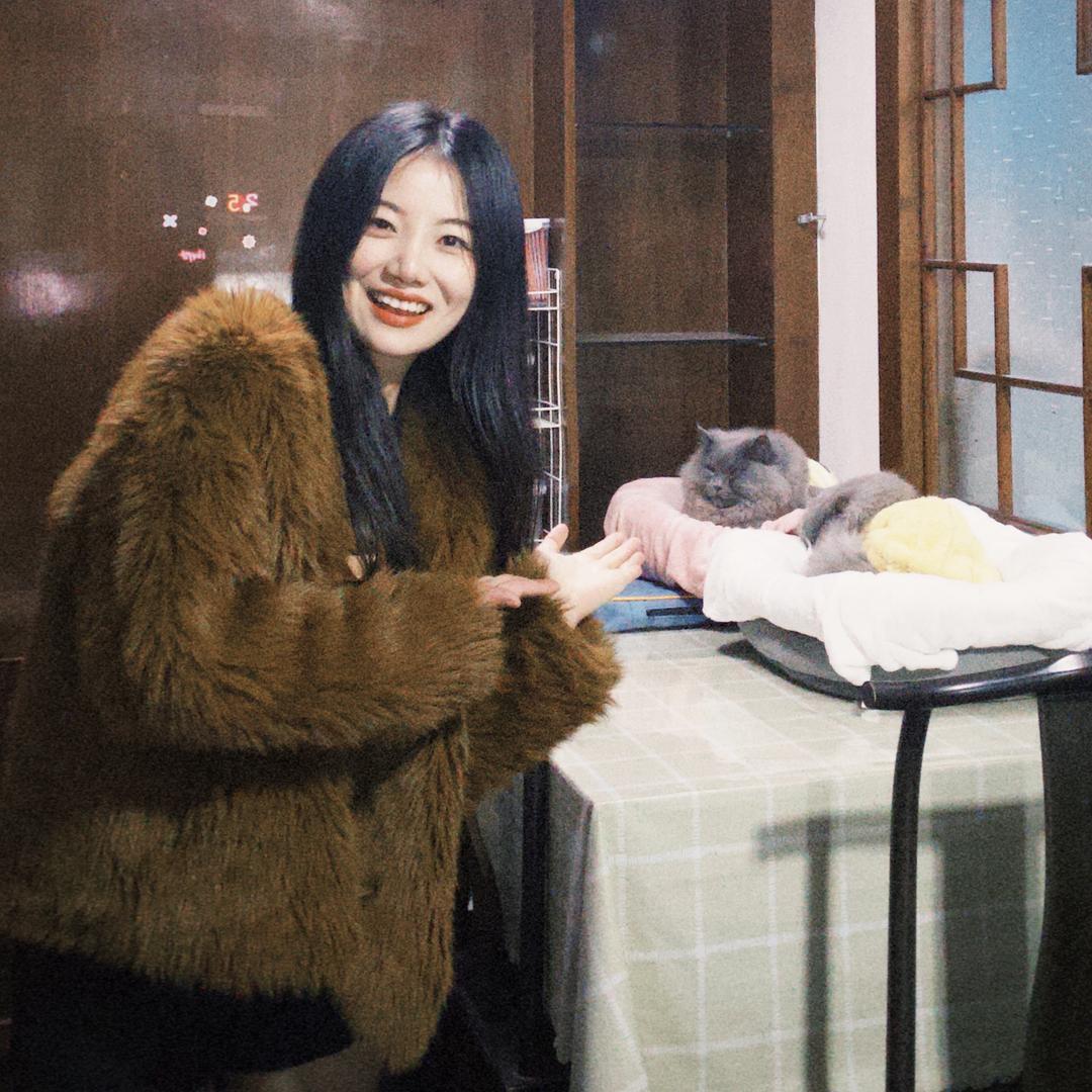 猫里