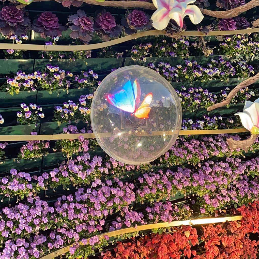 素雅芬芳