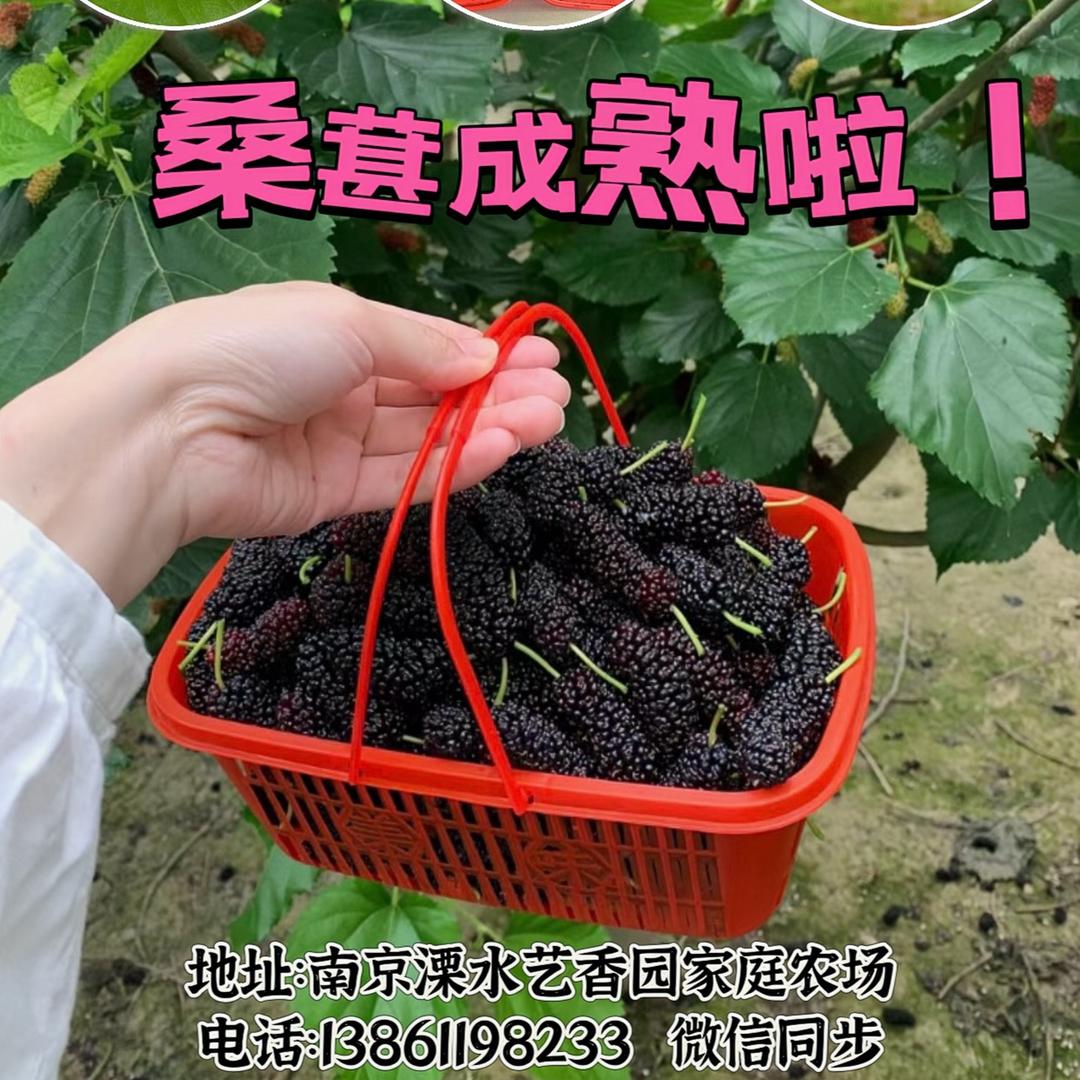 艺香园家庭农场