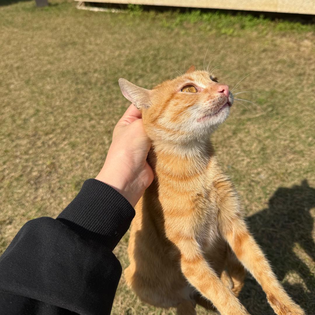 故事的小黄花👧