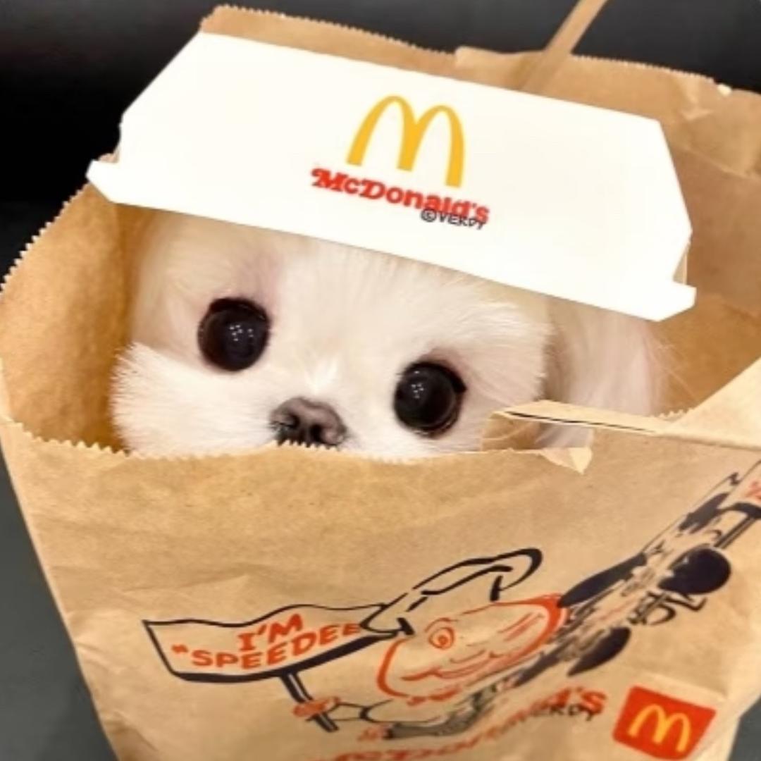 你有点宝