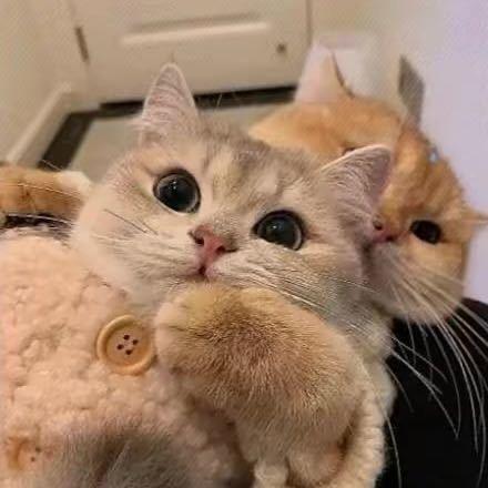 小淼带你so（已so30金）