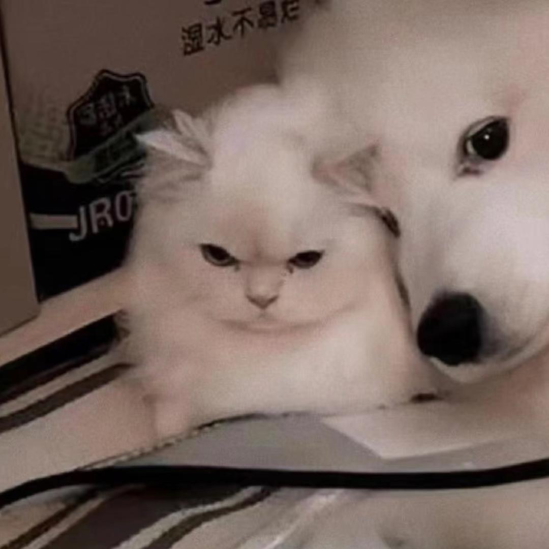 西天番茄色（小号版）