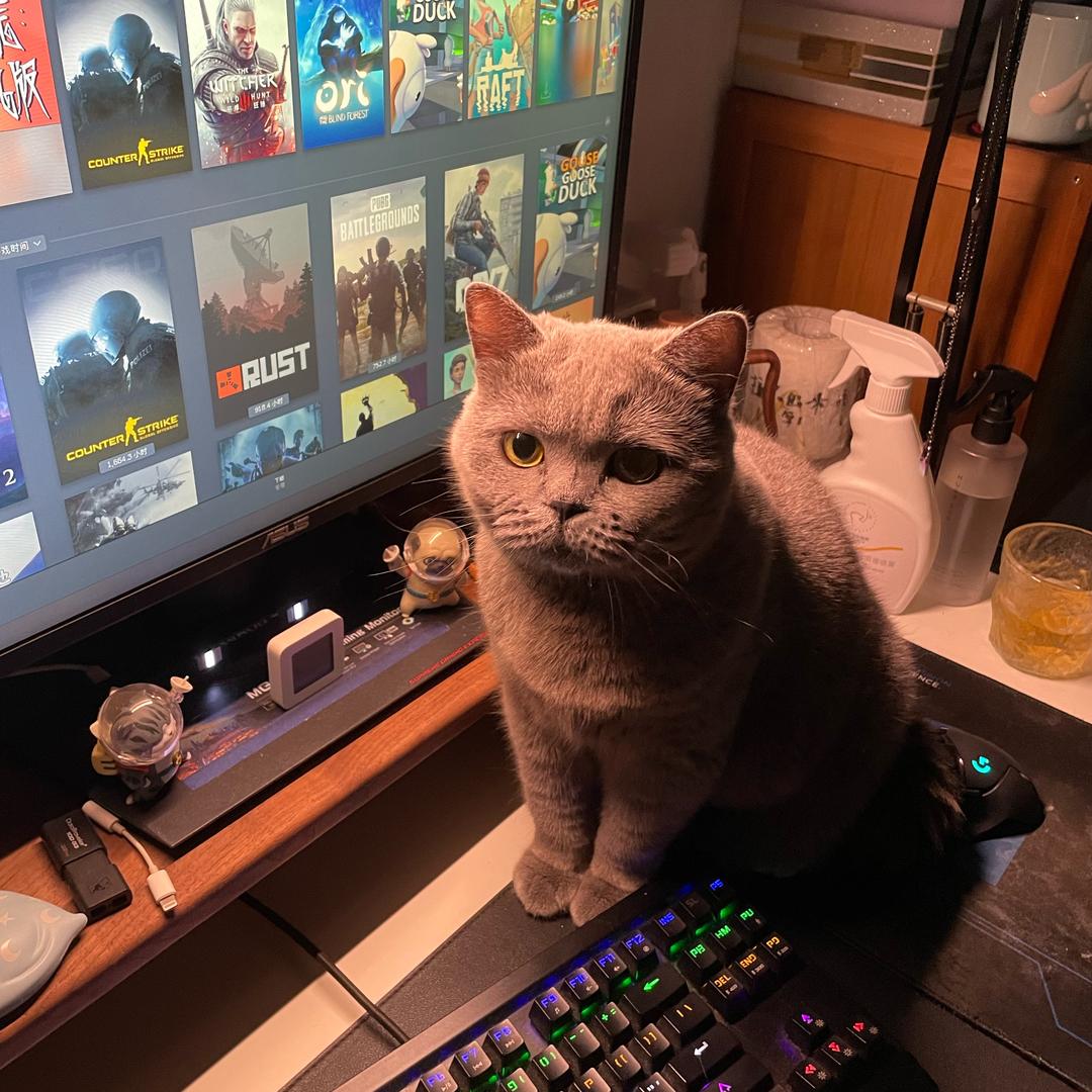 小九九