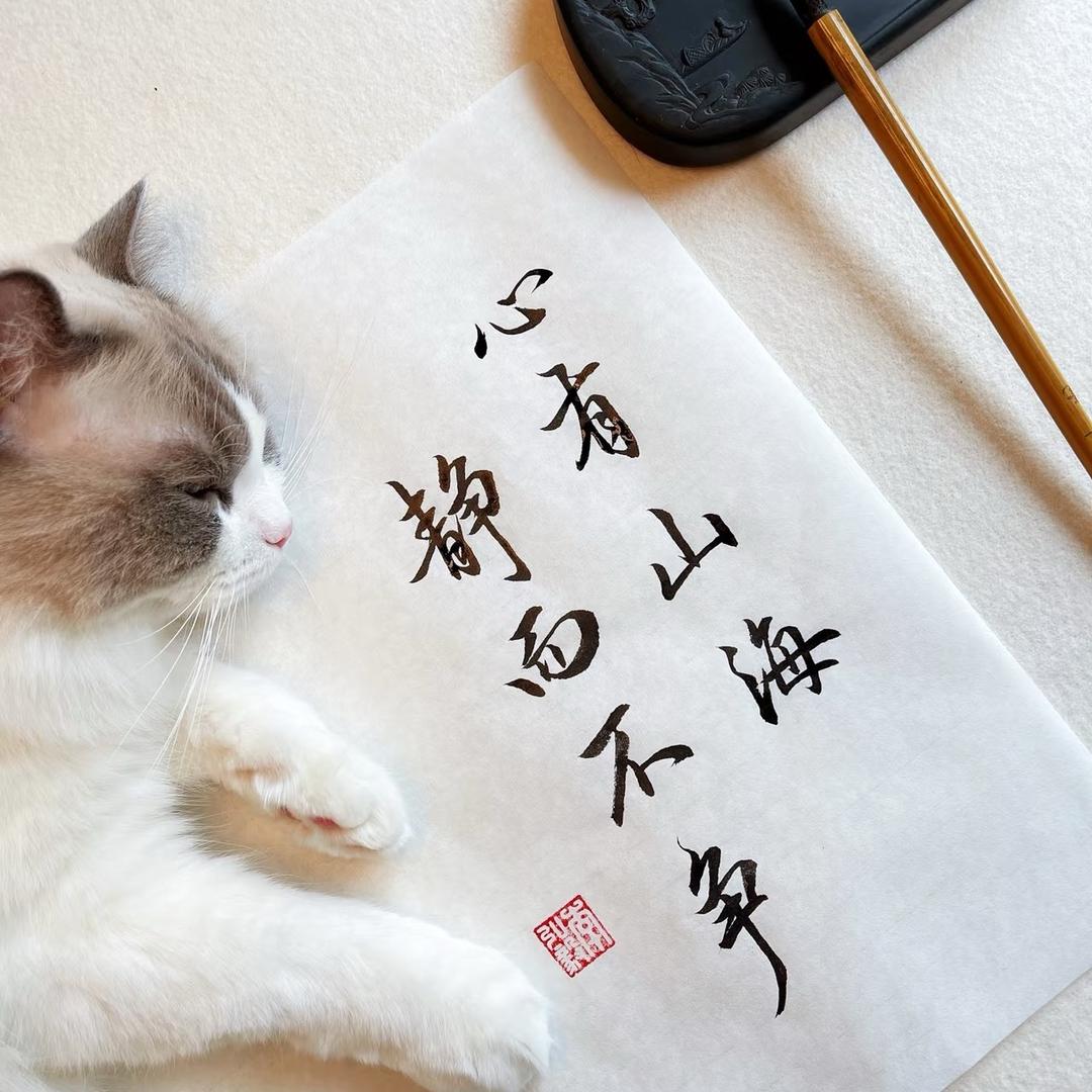 默默练字✍️