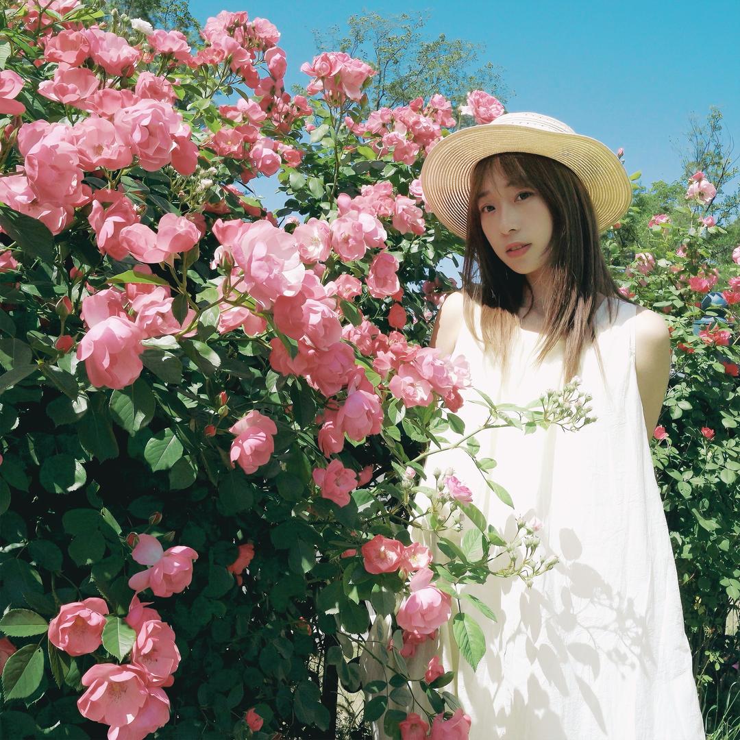 一只🐑 (可约拍)