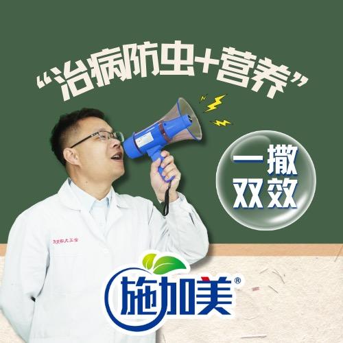 金正大施加美