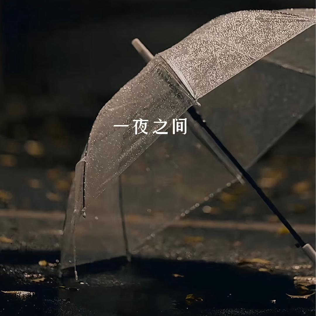 优雅永不过时