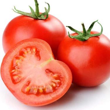 番茄小镇。新创信农业