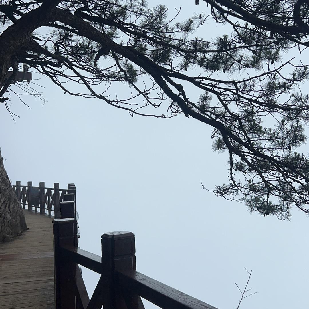 偉