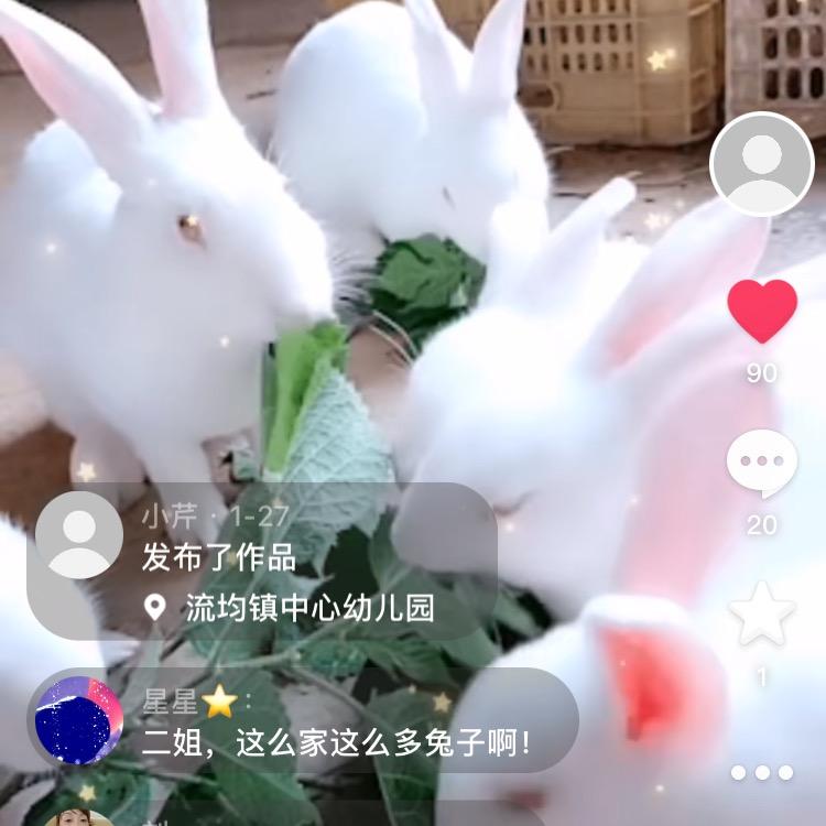 艳萍