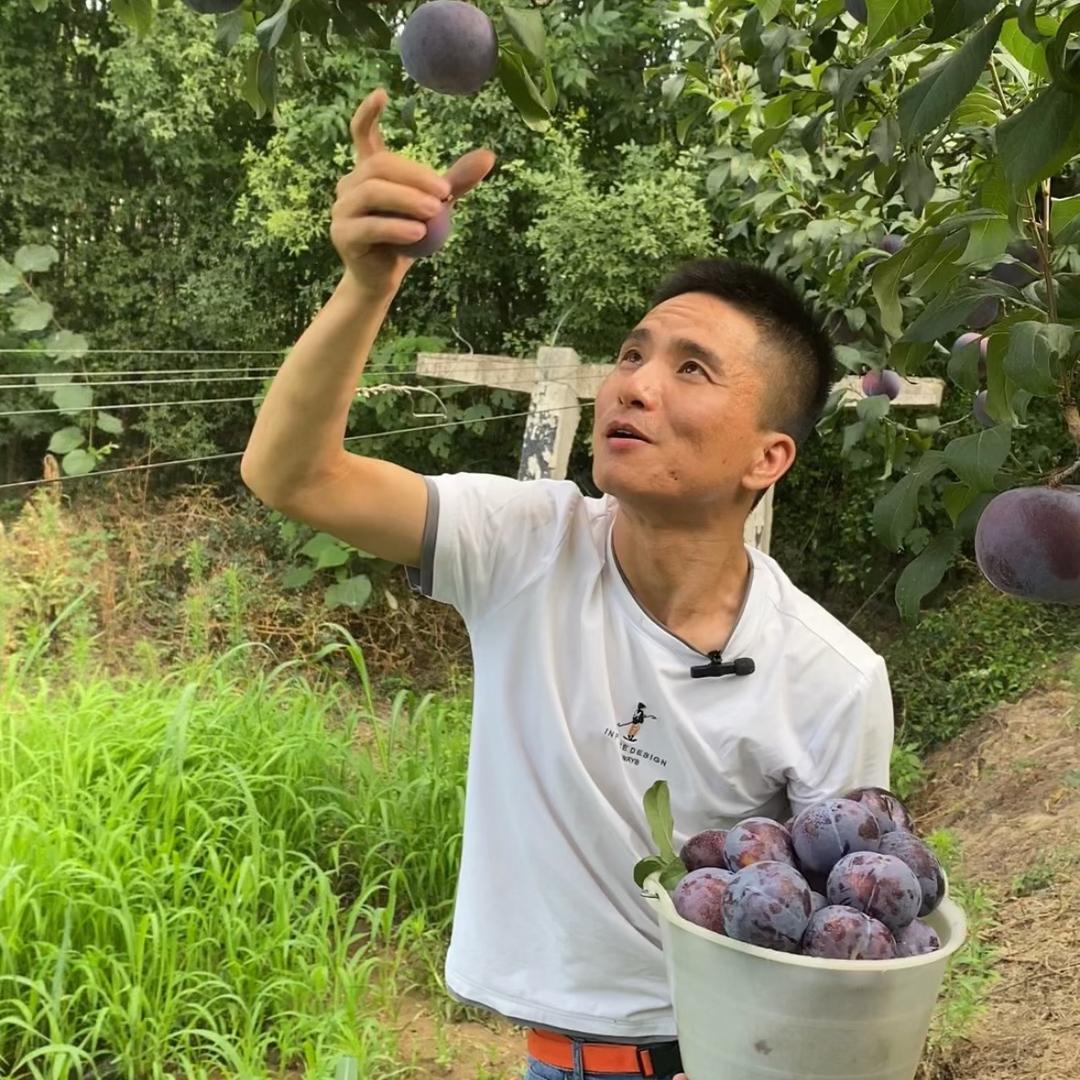 小果农