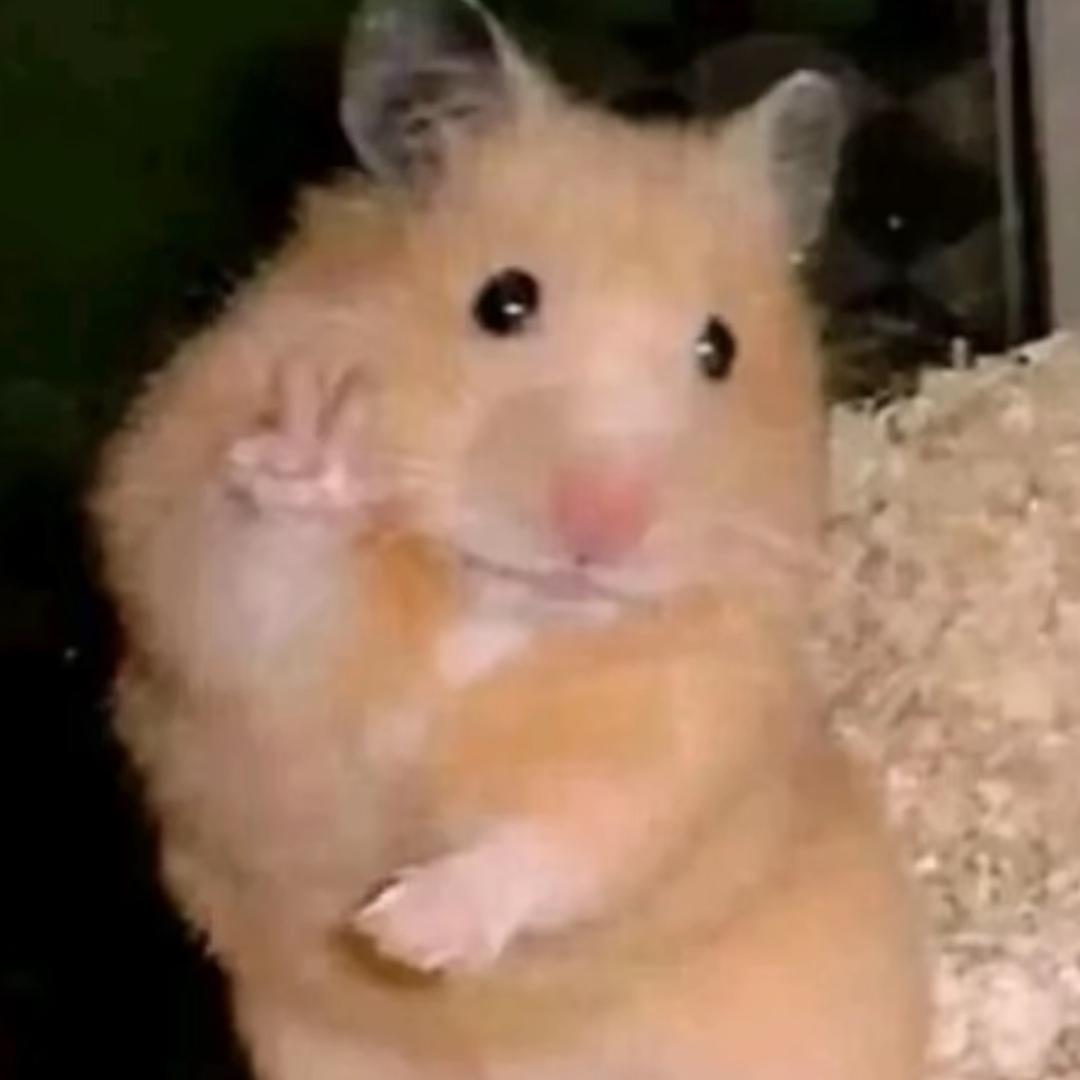 ོ