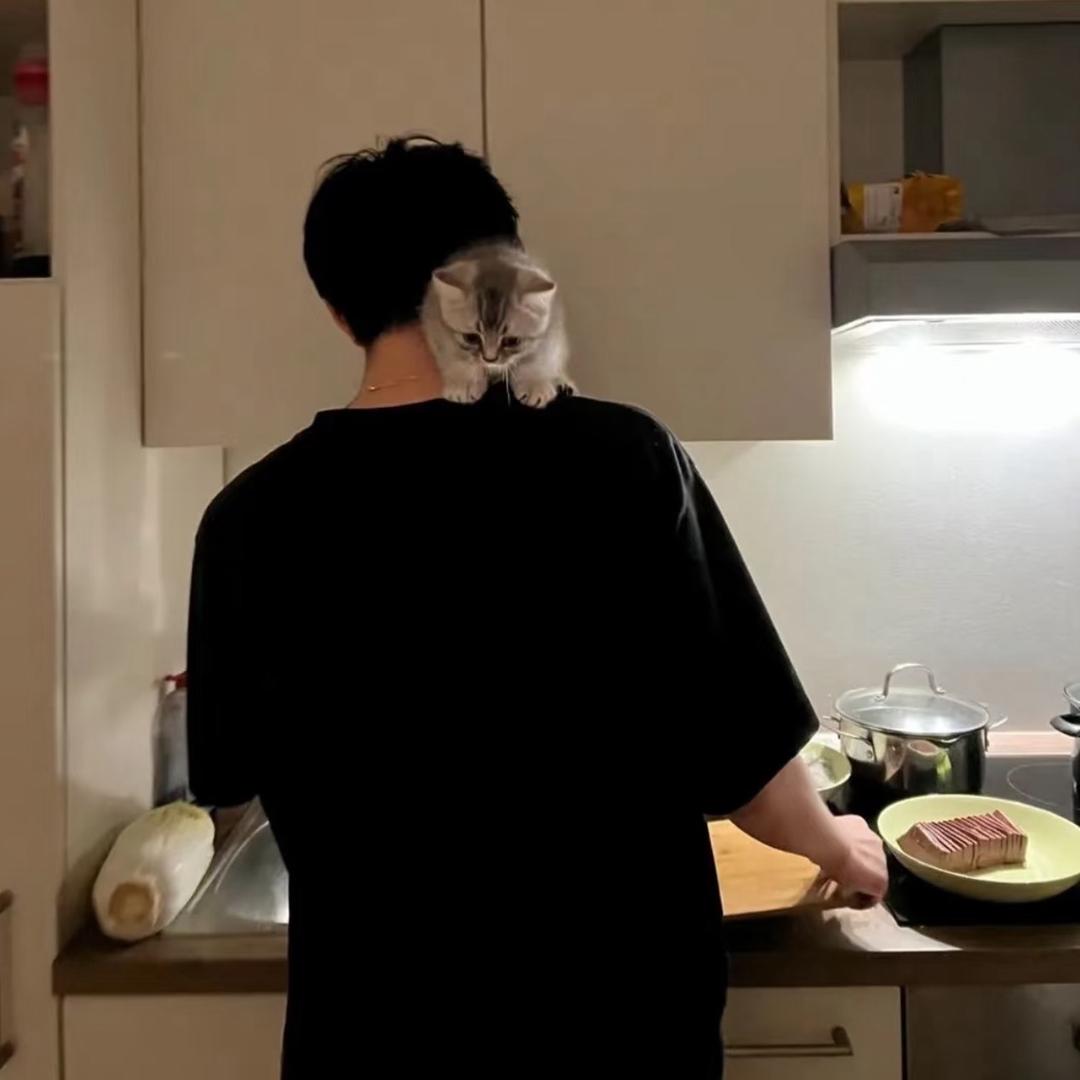 拍拍