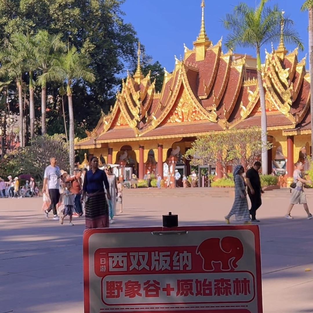 西双版纳纯玩一日游星愿定制小星