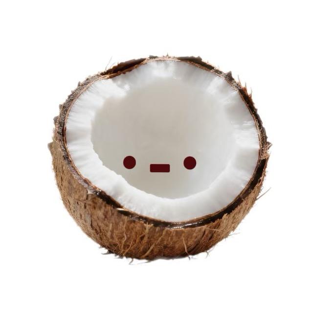 玉米糊（冬眠版