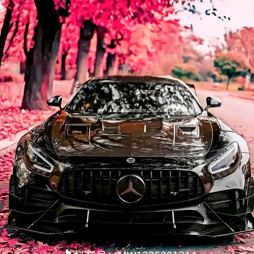 LY 车坊 汽车贴膜